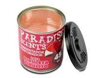 Ambientador puede piruleta 100gr