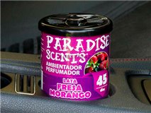 Fresa gel lata ambientador 100g