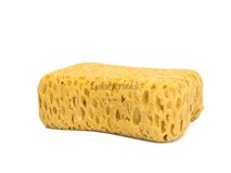 [03.00013] Synthetic sponge