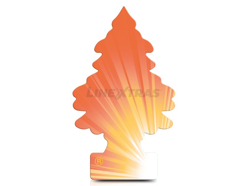 [05.PER90547] ARBRE MAGIQUE ORANGER DÉSODORISANT