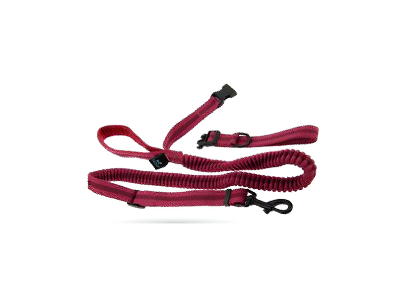 [72.170312] KIT PASSEIO 3 PEÇAS CONFORTO: CORREIA EXTENSÍVEL + COLAR + CINTO CORREIA
