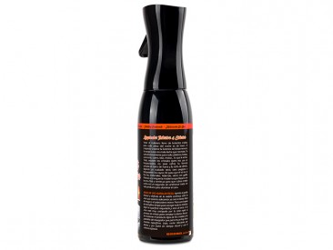 FLAIR NETTOYANT INTÉRIEUR/EXTÉRIEUR 500 ML